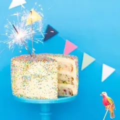 En festlig funfetti tårta med stjärnljus och en färgglad fågeldekoration. Perfekt för ett kalas!