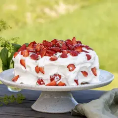 En härlig sommarskuggan tårta med vispgrädde och färska jordgubbar, redo att avnjutas utomhus i det gröna.
