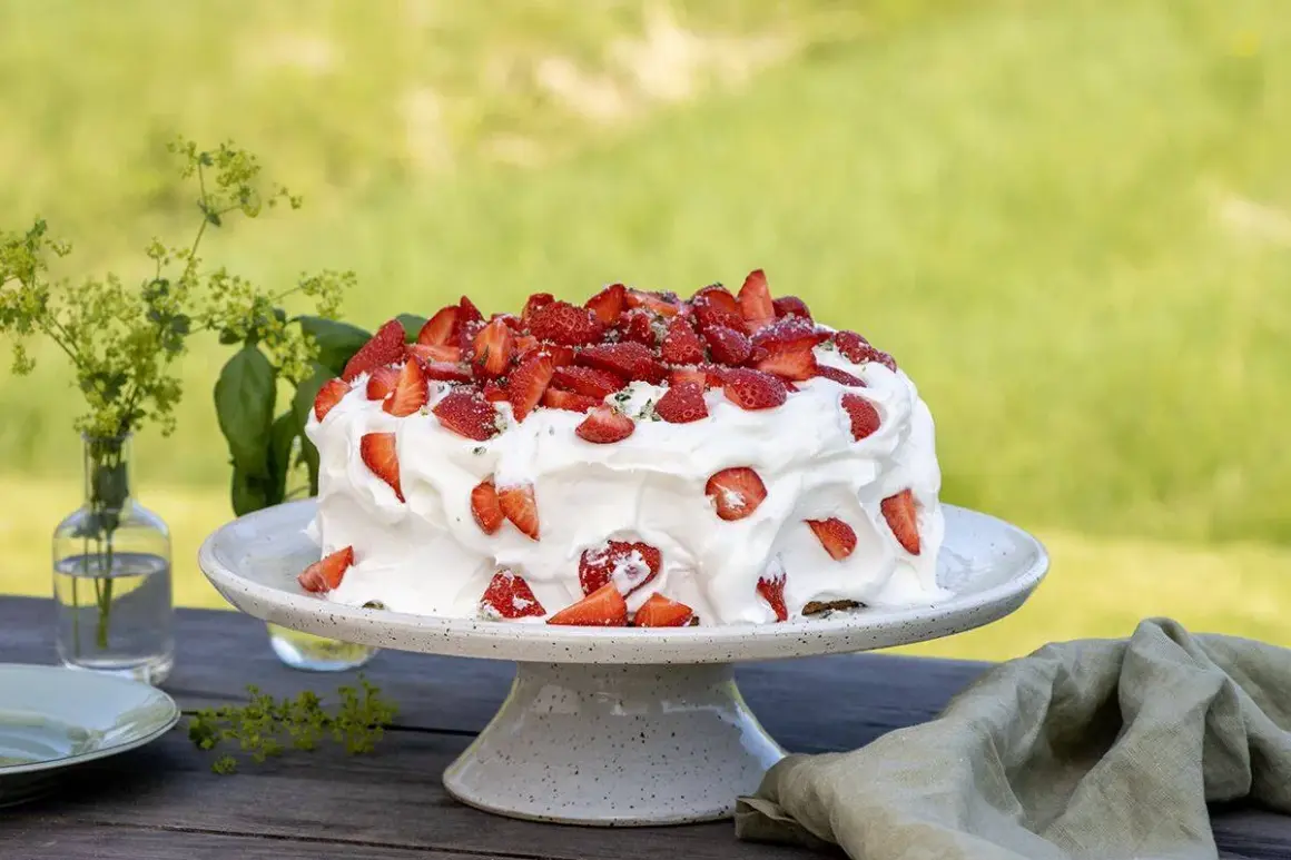 En härlig sommarskuggan tårta med vispgrädde och färska jordgubbar, redo att avnjutas utomhus i det gröna.